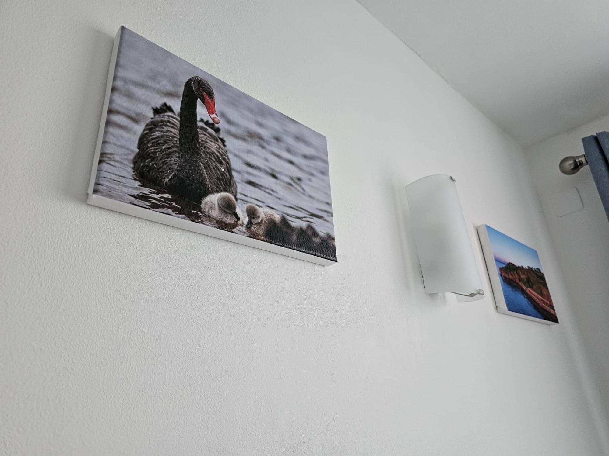 The Nautical Nook Appartement Dawlish Buitenkant foto